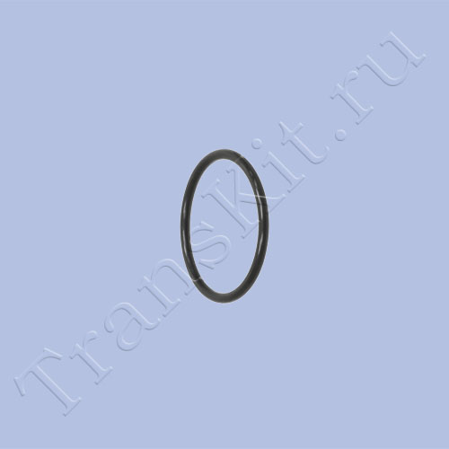 09M137528