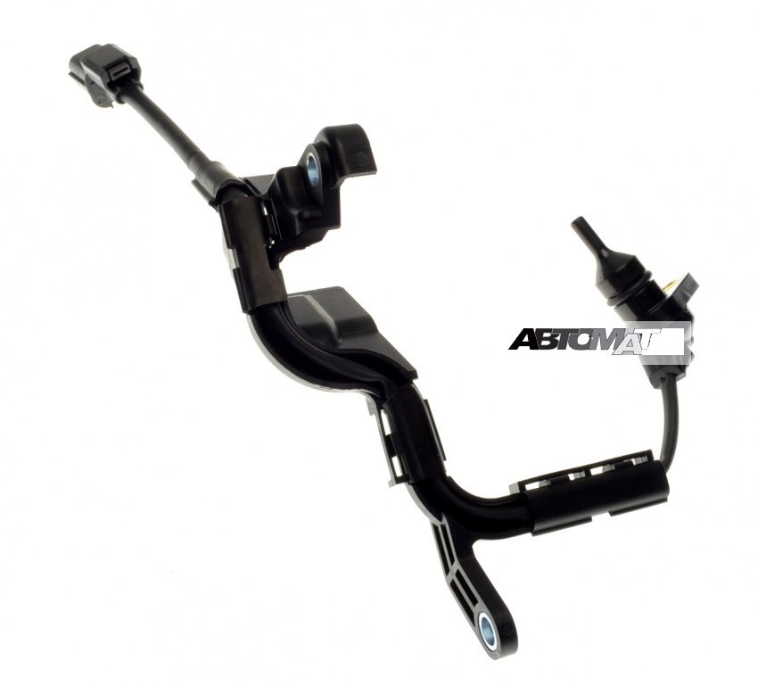 28650-RAY-004