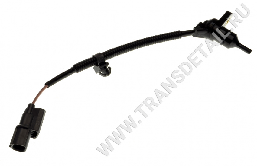 28650-RAY-004