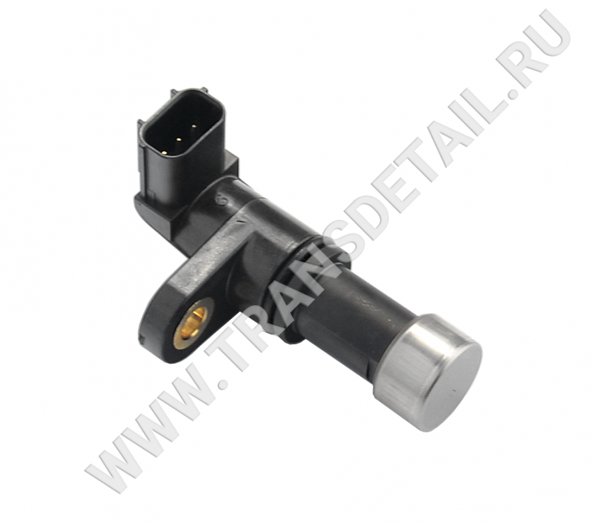 28650-RAY-004