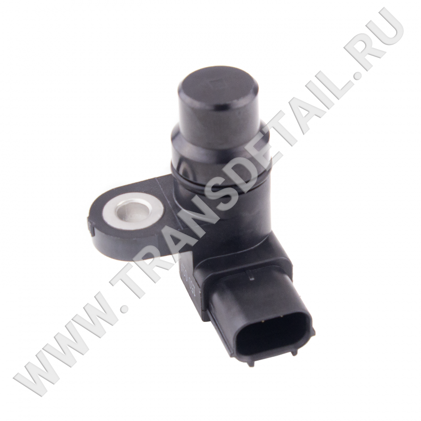 28650-RAY-004