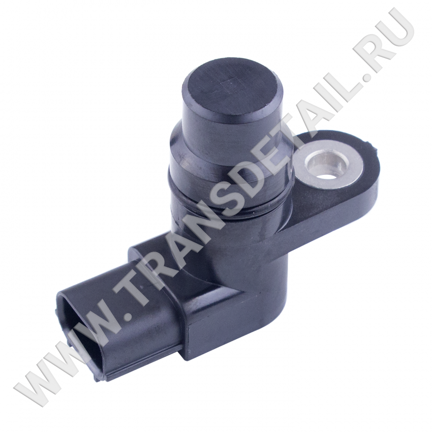 28650-RAY-004