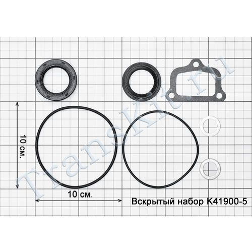 F4AK41900T